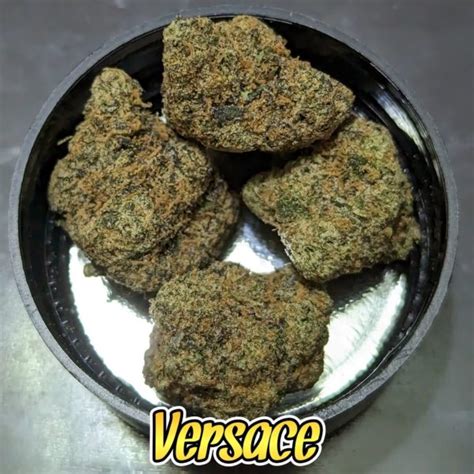 versace og|versace strain.